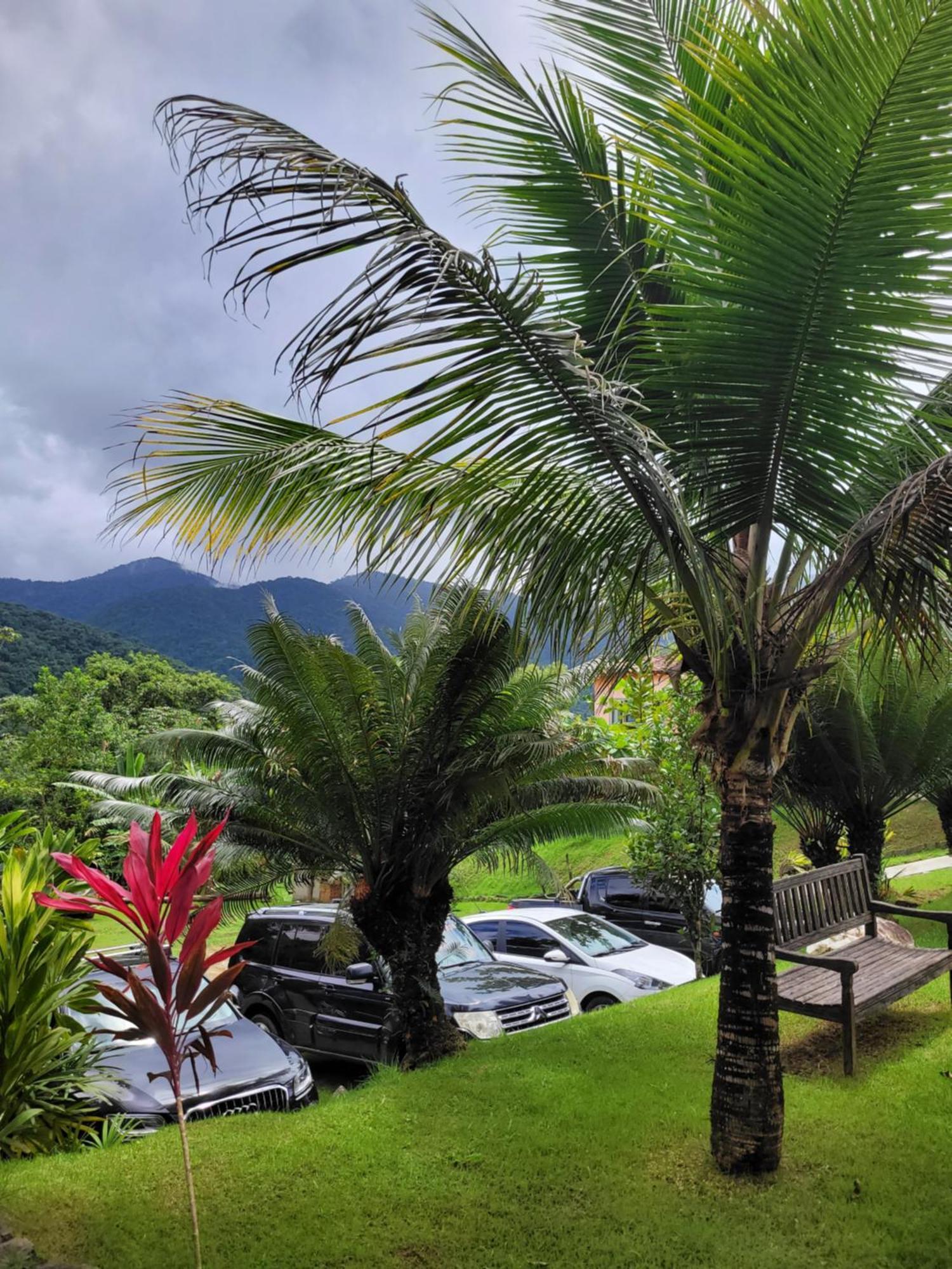 Refugio De Itamambuca Hotel Ubatuba Eksteriør billede